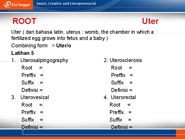 ROOT Uter ( dari bahasa latin, uterus : womb, the chamber in which a