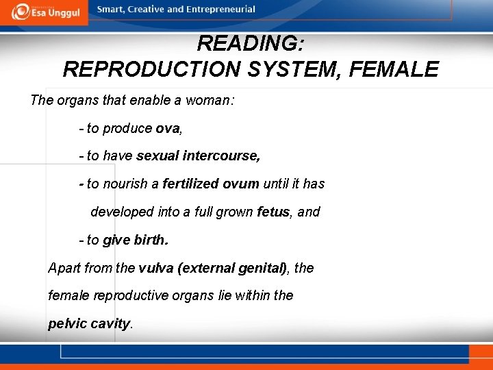 READING: REPRODUCTION SYSTEM, FEMALE The organs that enable a woman: - to produce ova,