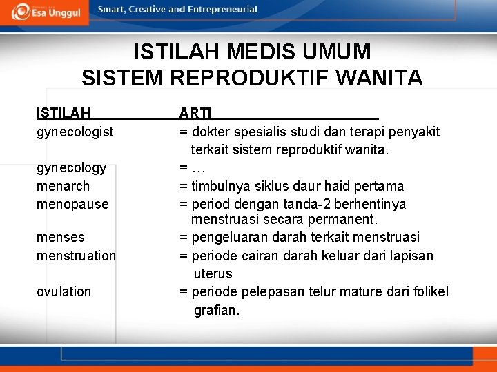 ISTILAH MEDIS UMUM SISTEM REPRODUKTIF WANITA ISTILAH gynecologist gynecology menarch menopause menses menstruation ovulation