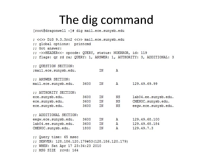 The dig command 