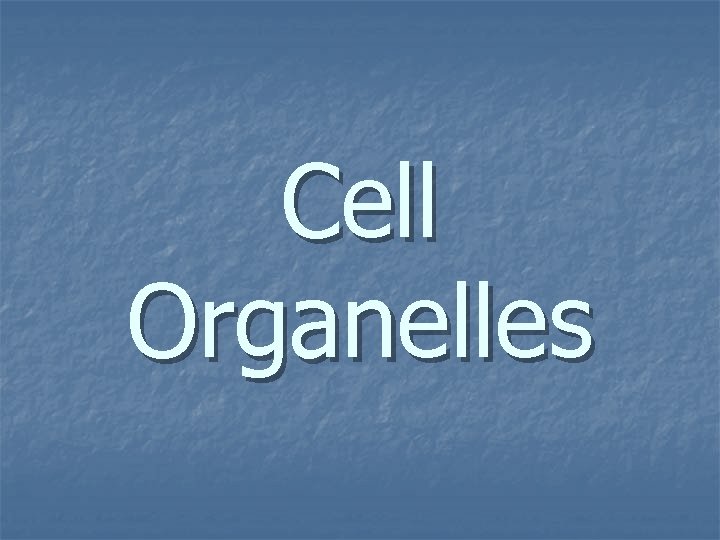 Cell Organelles 