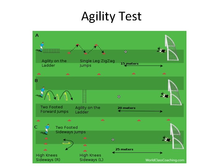 Agility Test Agility Test