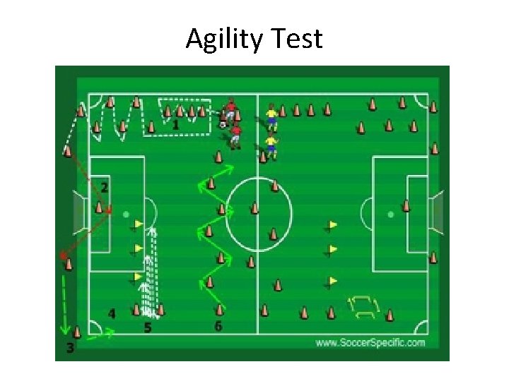 Agility Test Agility Test