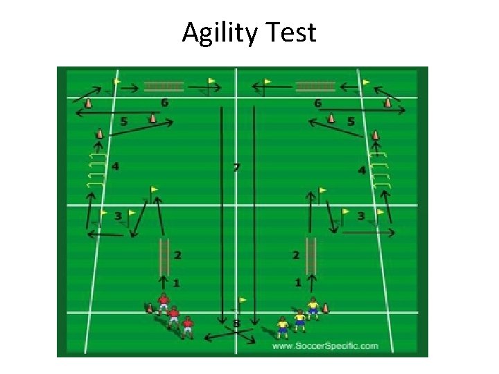 Developing a Training program Various seasons from tryouts