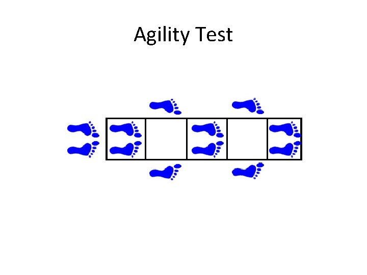 Agility Test Agility Test