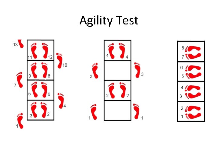 Agility Test Agility Test