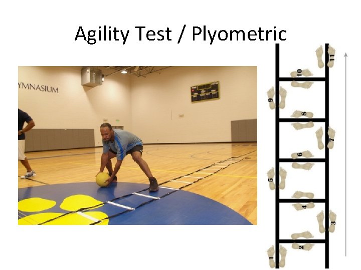 Agility Test / Plyometric Agility Test / Plyometric