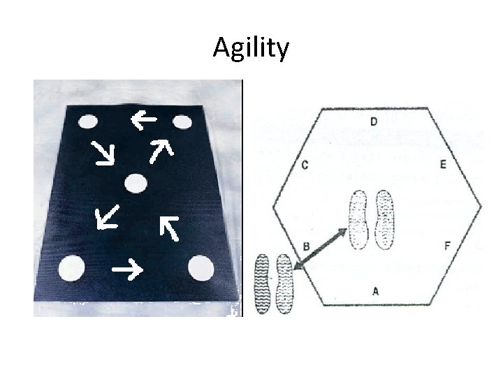Agility Agility