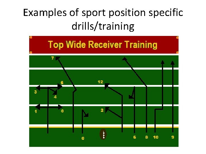 Examples of sport position specific drills/training Examples of sport position specific drills/training