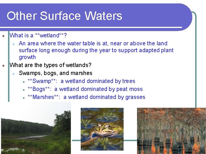 Other Surface Waters ● ● What is a **wetland**? ● An area where the
