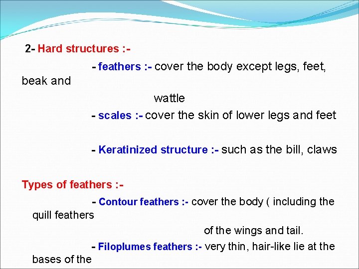2 - Hard structures : - feathers : - cover the body except legs,