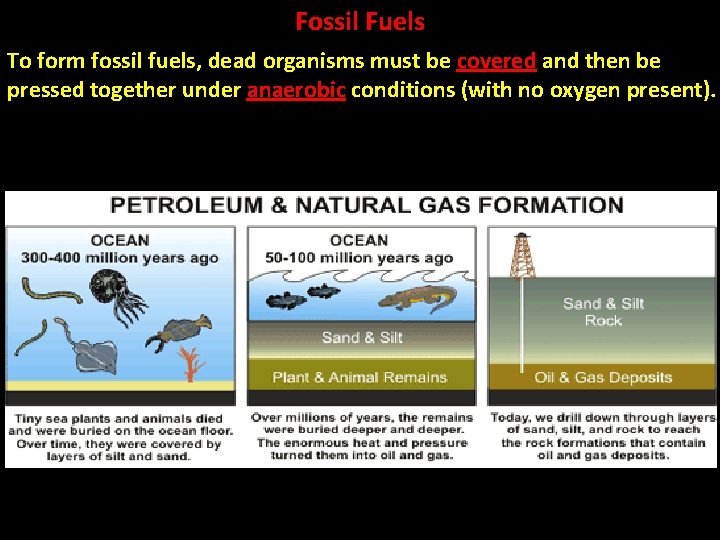 Fossil Fuels To form fossil fuels, dead organisms must be covered and then be