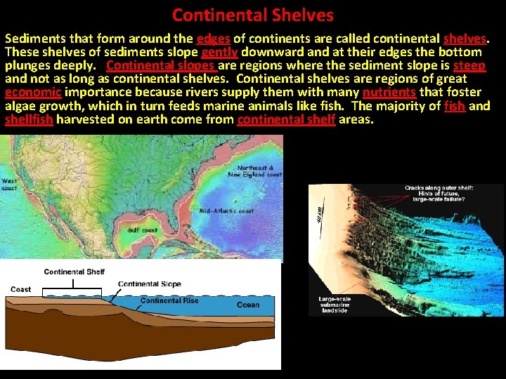 Continental Shelves Sediments that form around the edges of continents are called continental shelves.