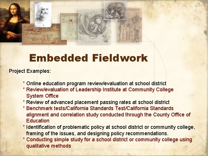 Embedded Fieldwork Project Examples: * Online education program review/evaluation at school district * Review/evaluation