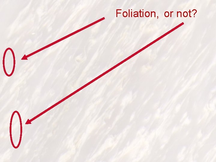Foliation, or not? 