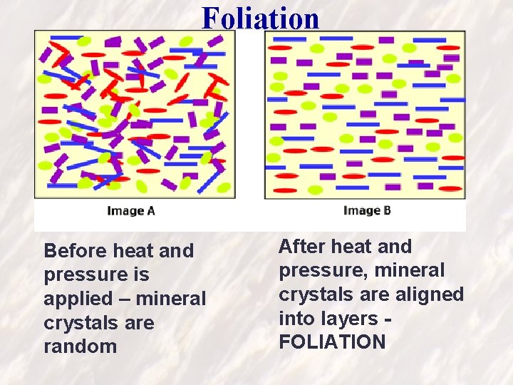 Foliation Before heat and pressure is applied – mineral crystals are random After heat