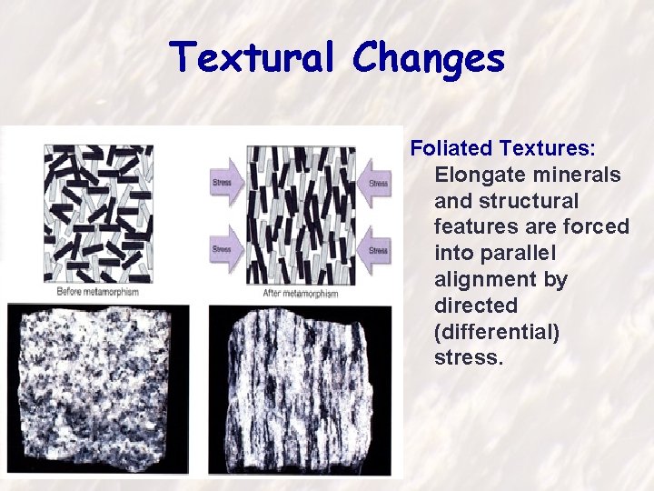 Textural Changes Foliated Textures: Elongate minerals and structural features are forced into parallel alignment