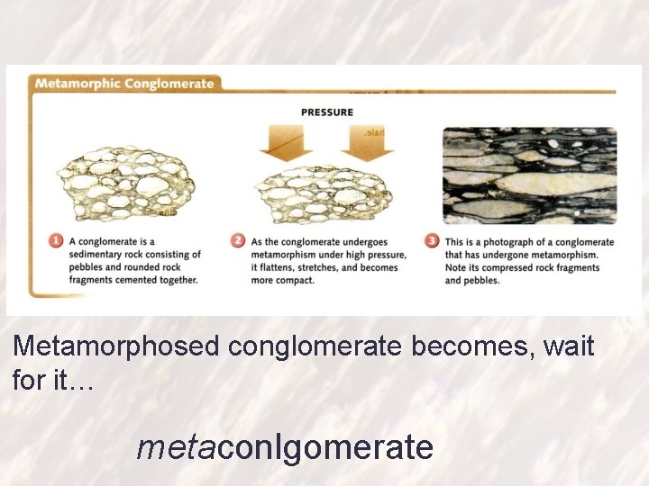Metamorphosed conglomerate becomes, wait for it… metaconlgomerate 