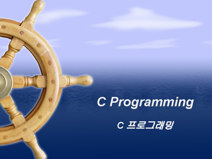 C Programming C 프로그래밍 