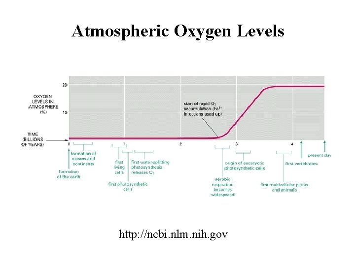 Atmospheric Oxygen Levels http: //ncbi. nlm. nih. gov 