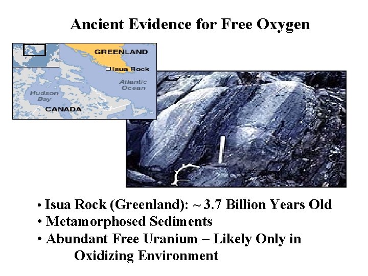 Ancient Evidence for Free Oxygen • Isua Rock (Greenland): ~ 3. 7 Billion Years