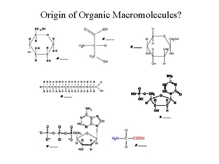 Origin of Organic Macromolecules? 