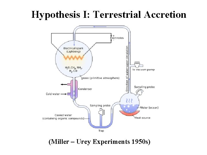 Hypothesis I: Terrestrial Accretion (Miller – Urey Experiments 1950 s) 