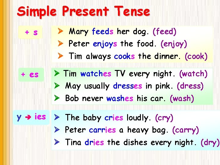 Simple Present Tense + s Mary feeds her dog. (feed) Peter enjoys the food.