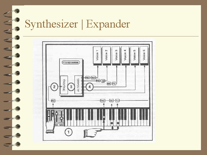 Synthesizer | Expander 