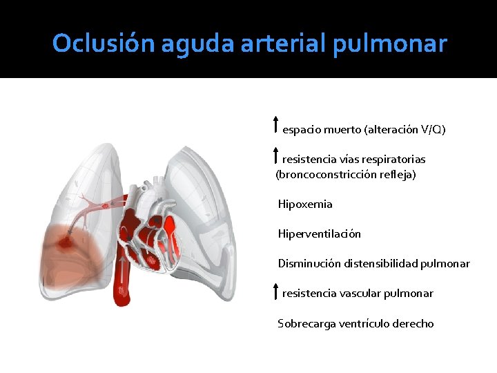 Oclusión aguda arterial pulmonar espacio muerto (alteración V/Q) resistencia vías respiratorias (broncoconstricción refleja) Hipoxemia Oclusión aguda arterial pulmonar espacio muerto (alteración V/Q) resistencia vías respiratorias (broncoconstricción refleja) Hipoxemia
