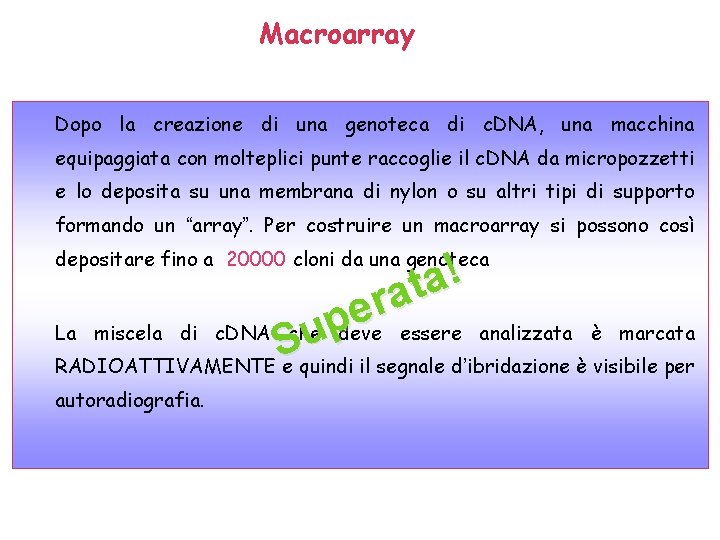Macroarray Dopo la creazione di una genoteca di c. DNA, una macchina equipaggiata con Macroarray Dopo la creazione di una genoteca di c. DNA, una macchina equipaggiata con
