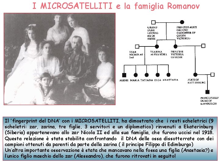 I MICROSATELLITI e la famiglia Romanov Il “fingerprint del DNA” con i MICROSATELLITI, ha I MICROSATELLITI e la famiglia Romanov Il “fingerprint del DNA” con i MICROSATELLITI, ha