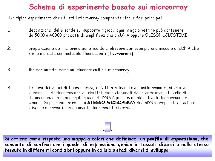 Schema di esperimento basato sui microarray Un tipico esperimento che utilizzi i microarray comprende Schema di esperimento basato sui microarray Un tipico esperimento che utilizzi i microarray comprende
