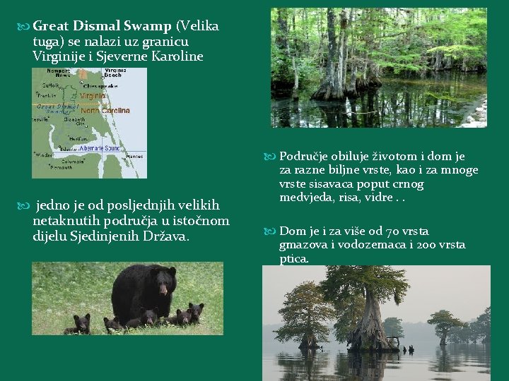  Great Dismal Swamp (Velika tuga) se nalazi uz granicu Virginije i Sjeverne Karoline