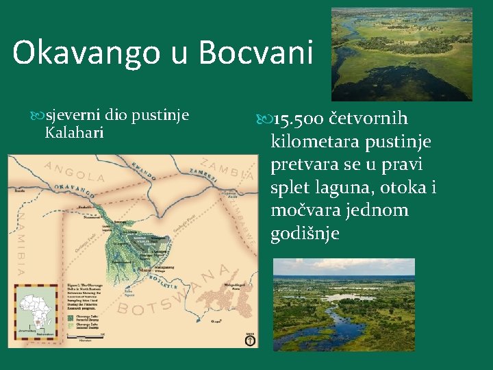 Okavango u Bocvani sjeverni dio pustinje Kalahari 15. 500 četvornih kilometara pustinje pretvara se