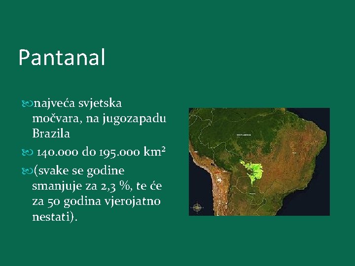 Pantanal najveća svjetska močvara, na jugozapadu Brazila 140. 000 do 195. 000 km² (svake