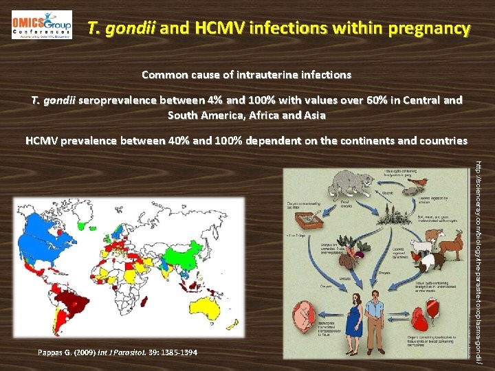 T. gondii and HCMV infections within pregnancy Common cause of intrauterine infections T. gondii