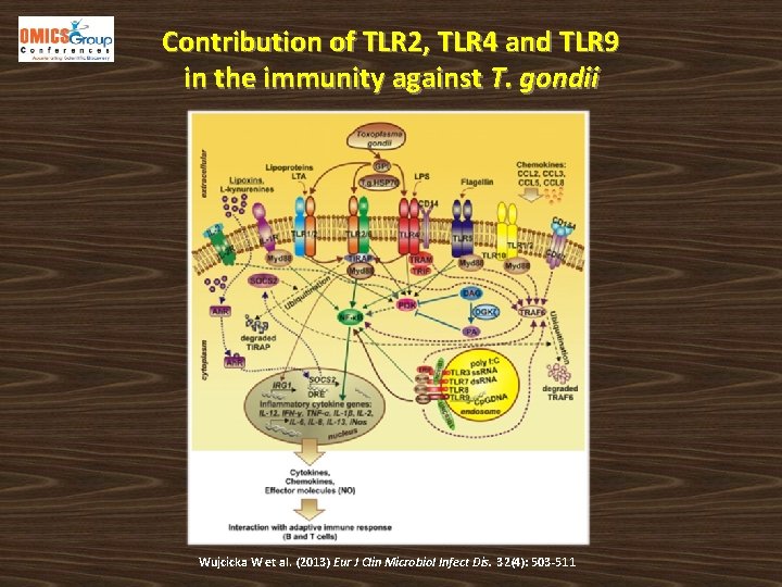 Contribution of TLR 2, TLR 4 and TLR 9 in the immunity against T.