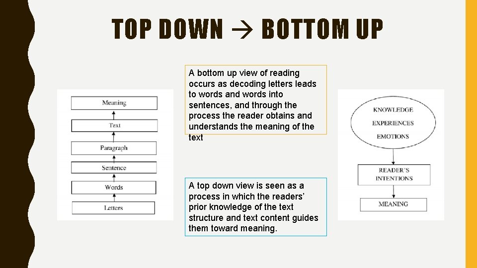 TOP DOWN BOTTOM UP A bottom up view of reading occurs as decoding letters
