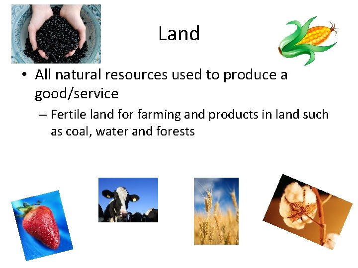 Land • All natural resources used to produce a good/service – Fertile land for