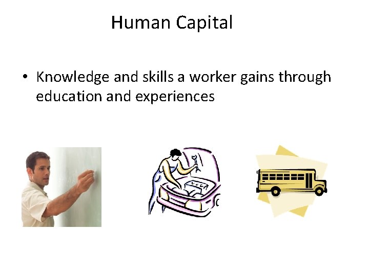 Human Capital • Knowledge and skills a worker gains through education and experiences 