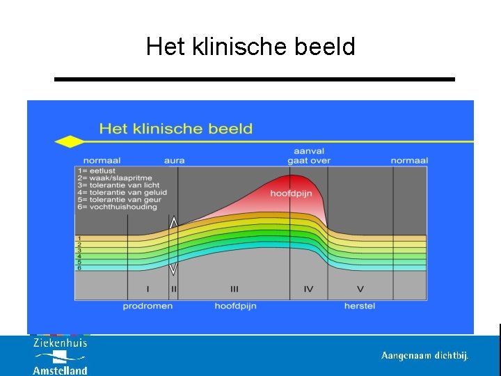 Het klinische beeld 
