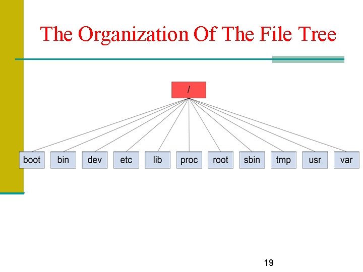 The Organization Of The File Tree 19 