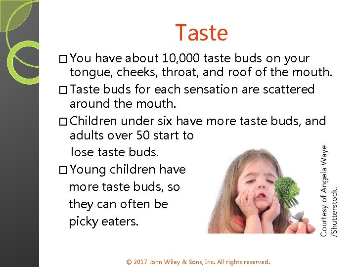 Taste � You have about 10, 000 taste buds on your tongue, cheeks, throat,