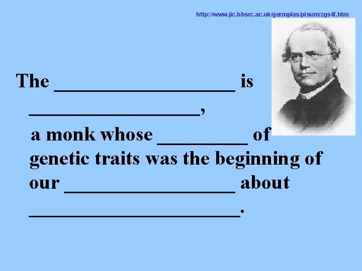 http: //www. jic. bbsrc. ac. uk/germplas/pisum/zgs 4 f. htm The _________ is _________, a