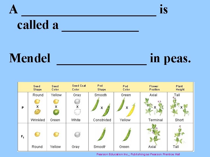 A ___________ is called a ______ Mendel _______ in peas. Pearson Education Inc, ;