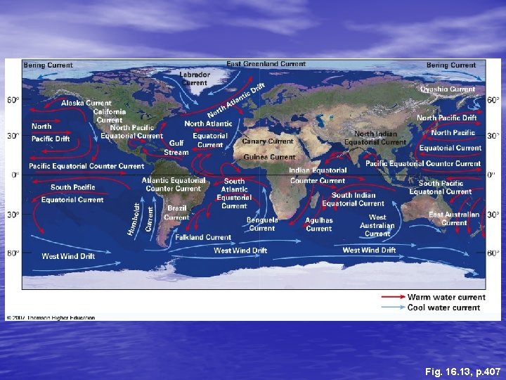 Oceans What do you know about the oceans