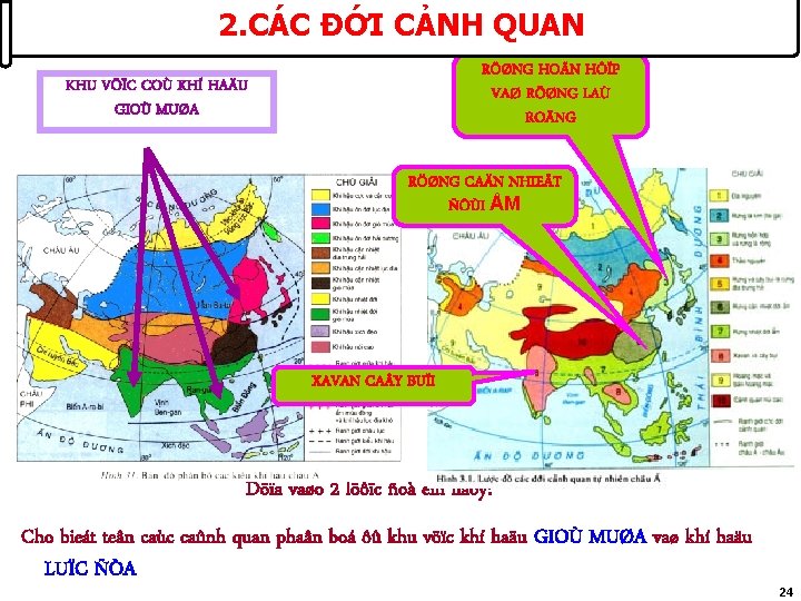 2. CÁC ĐỚI CẢNH QUAN RÖØNG HOÃN HÔÏP VAØ RÖØNG LAÙ ROÄNG KHU VÖÏC