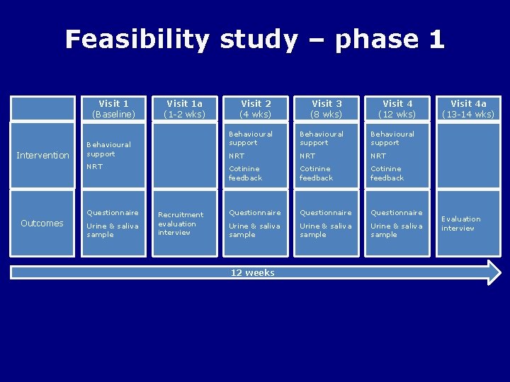 Feasibility study – phase 1 Visit 1 (Baseline) Intervention Visit 1 a (1 -2