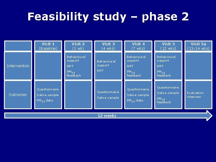 Feasibility study – phase 2 Visit 1 (Baseline) Visit 2 (1 wk) Behavioural support